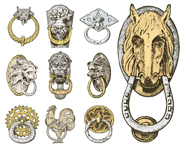 Detail ancient building. architectural ornamental elements, wooden door knob, knocker or handles. lion and horse. engraved hand drawn in old sketch, vintage and Antique, baroque or gothic style. — Stock Vector