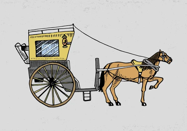 Carruaje tirado por caballos o entrenador. Ilustración de viajes. mano grabada dibujada en estilo de boceto antiguo, transporte vintage . — Archivo Imágenes Vectoriales