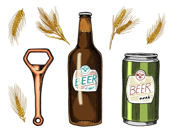 Bira cam, kupa veya oktoberfest şişe. web veya pub menü için eski kroki ve vintage tarzı çizilmiş mürekkep elinde buğday veya malt kazınmış. Beyaz arka plan üzerinde izole tasarım öğesi.