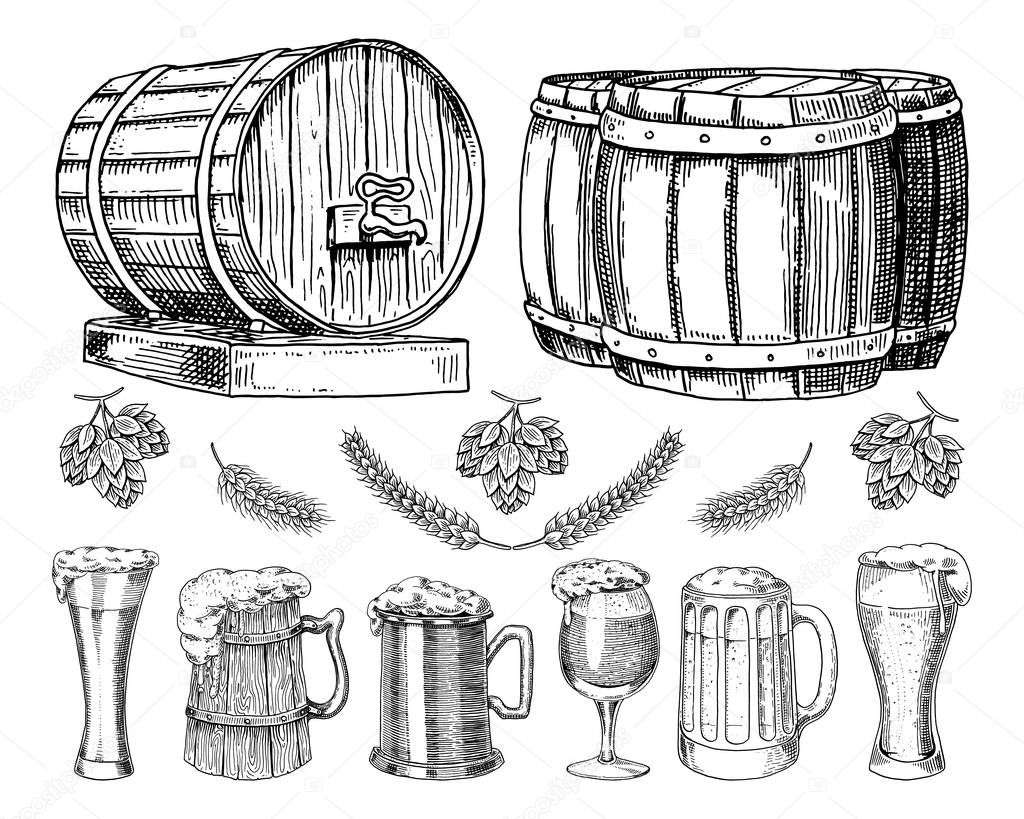 wine or rum, beer classical wooden barrels for rural landscape. Barley and wheat, malt and hops. engraved in ink hand drawn in old sketch and vintage style for web or pub menu. design of oktoberfest.