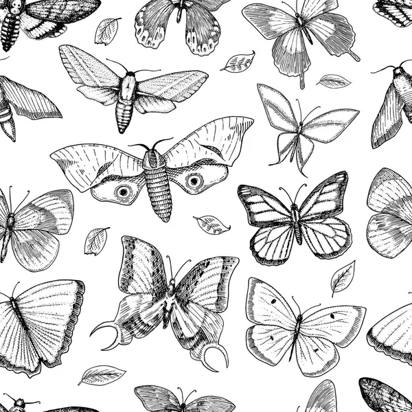 dövme ya da boho t-shirt veya scrapbooking tasarım. Özgürlük ve seyahat mistik ezoterik sembolü. Kelebek veya böcek kroki. böcekbilime koleksiyonu. oyulmuş elle çizilmiş eski kroki ve vintage tarzı