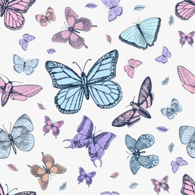 dövme ya da boho t-shirt veya scrapbooking tasarım. Özgürlük ve seyahat mistik ezoterik sembolü. Kelebek veya böcek kroki. böcekbilime koleksiyonu. oyulmuş elle çizilmiş eski kroki ve vintage tarzı