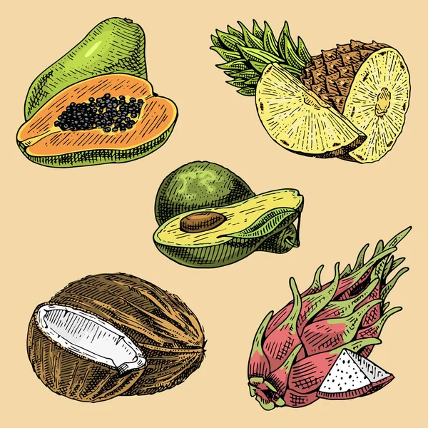 Conjunto de mão desenhada, frutas frescas gravadas, comida vegetariana, plantas, laranja vintage e maçã, uva com coco, gragonfruit, pêra, pêssego, ameixa . — Vetor de Stock
