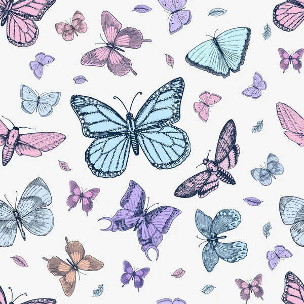 dövme ya da boho t-shirt veya scrapbooking tasarım. Özgürlük ve seyahat mistik ezoterik sembolü. Kelebek veya böcek kroki. böcekbilime koleksiyonu. oyulmuş elle çizilmiş eski kroki ve vintage tarzı