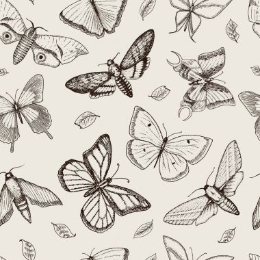 dövme ya da boho t-shirt veya scrapbooking tasarım. Özgürlük ve seyahat mistik ezoterik sembolü. Kelebek veya böcek kroki. böcekbilime koleksiyonu. oyulmuş elle çizilmiş eski kroki ve vintage tarzı