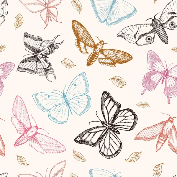 dövme ya da boho t-shirt veya scrapbooking tasarım. Özgürlük ve seyahat mistik ezoterik sembolü. Kelebek veya böcek kroki. böcekbilime koleksiyonu. oyulmuş elle çizilmiş eski kroki ve vintage tarzı