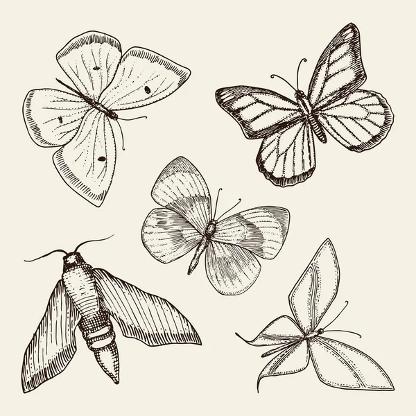 dövme ya da boho t-shirt veya scrapbooking tasarım. Özgürlük ve seyahat mistik ezoterik sembolü. Kelebek veya böcek kroki. böcekbilime koleksiyonu. oyulmuş elle çizilmiş eski kroki ve vintage tarzı