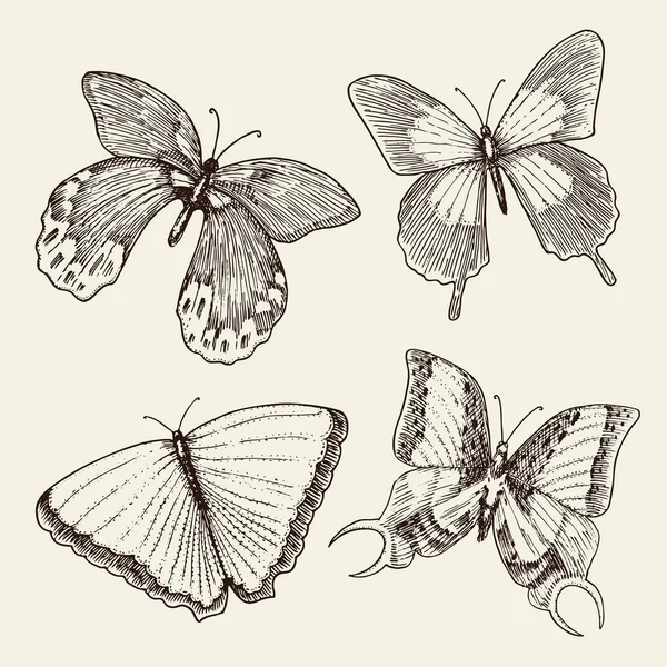 Tatouage ou boho t-shirt ou scrapbooking design. Symbole ésotérique mystique de liberté et de voyage. croquis papillon ou insecte. collection entomologique. gravé à la main dessiné dans un vieux croquis et style vintage — Image vectorielle