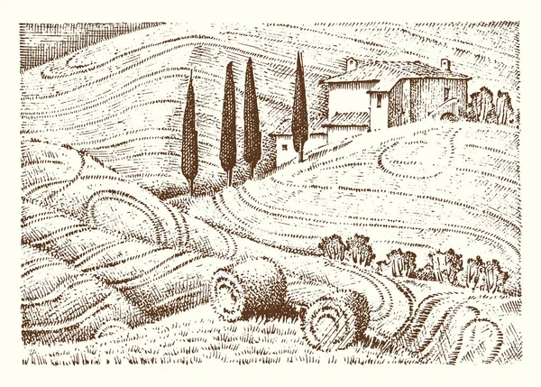 Terukir tangan digambar dalam sketsa tua dan gaya antik untuk label. Ladang Tuscany Italia latar belakang dan pohon cypress. Panen dan tumpukan jerami. Perdesaan lanskap kebun anggur dan desa atau perkampungan . - Stok Vektor
