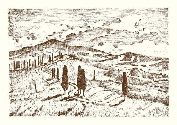 Engraved hand drawn in old sketch and vintage style for label. Italian Tuscany fields background and cypress trees. harvesting and haystacks. Rural landscape of wineyard and village or rustic houses. — Stock Vector