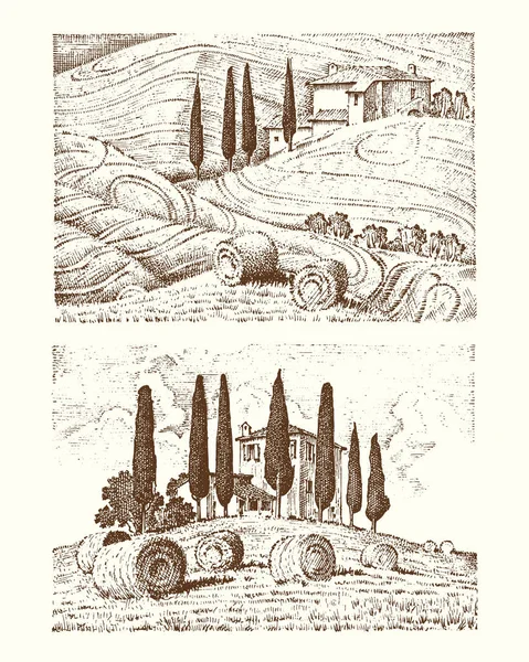 刻的手绘老素描和复古风格的标签。意大利托斯卡纳领域背景和松柏树。收获和草堆里。乡村景观的 wineyard 和村庄或乡村房屋. — 图库矢量图片