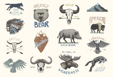 oyulmuş vintage, el çekilmiş, eski, etiketleri ve rozetleri için kamp, hiking, domuz ile av ayı ve kurt, Kızıl Tilki. kafatası ve kel kartal, geyik yüz, Hint veya Amerikan yerlisi. Buffalo