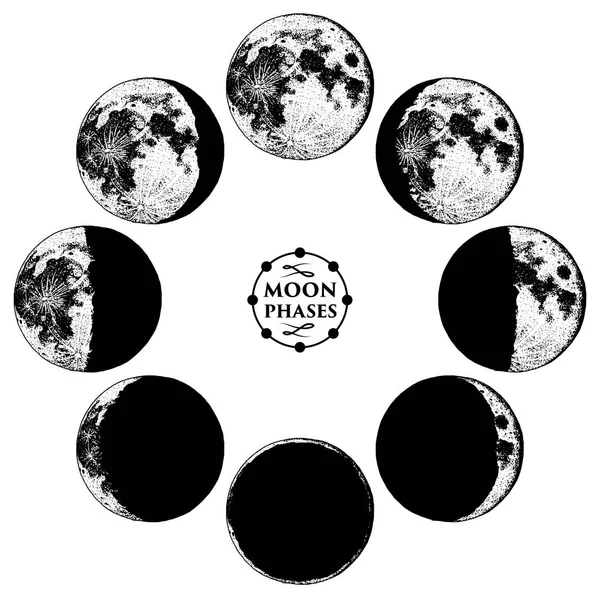 Moon faser planeter i solsystemet. astrologi eller astronomiska galax utrymme. omloppsbana eller cirkel. graverade handritad i gamla skiss, vintage stil för etikett. — Stock vektor