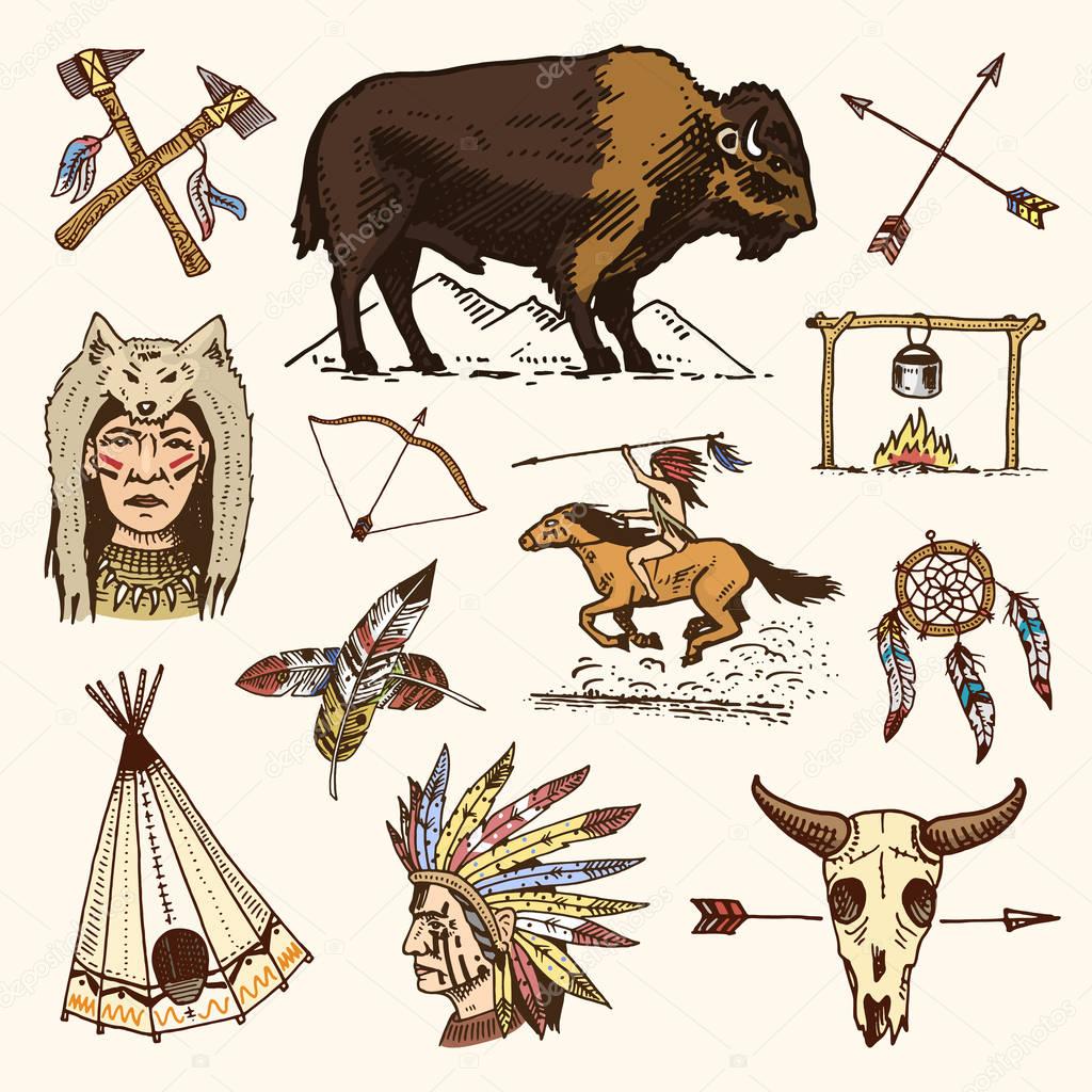 Indian or native american. buffalo, axes and tent, arrows and bow, skull, Dreamcatcher and cherokee, tomahawk. set of engraved vintage, hand drawn, old, labels or badges