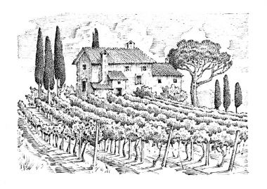 rustik bağ. kırsal manzara evleri ile. Güneş Toskana arka plan. alanlar ve servi ağaçları. hasat ve haystacks. oyulmuş elle çizilmiş eski kroki ve vintage tarzı için etiket.