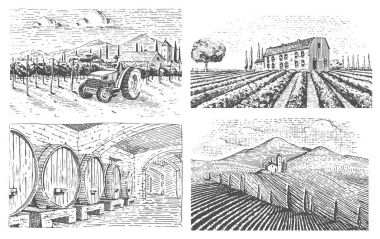 üzüm bağları yatay, Toskana alanları, scratchboard arıyorum eski veya stil menü ve bardaki tabela için dövme. oyulmuş elle de eski, etiket veya T-shirt için vintage tarzı çizilmiş.