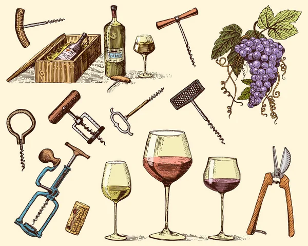 Vin harvest produkter, press, druvor, vingårdar korkskruvar glasögon flaskor för menyer och skyltar i baren. graverade handritad i gamla skiss, vintage stil för etikett eller T-shirt. — Stock vektor