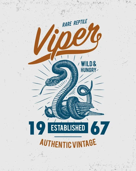 Viper snake. serpent cobra and python, anaconda or viper, royal. engraved hand drawn in old sketch, vintage style for sticker and tattoo. ophidian and asp. print for t-shirt. — Stock Vector