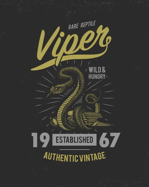 Viper snake. serpent cobra and python, anaconda or viper, royal. engraved hand drawn in old sketch, vintage style for sticker and tattoo. ophidian and asp. print for t-shirt. — Stock Vector