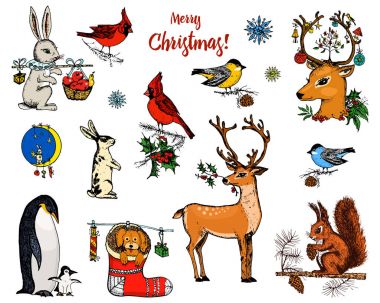 Christmas horned deer, squirrel and animals. New Year penguin and bird cardinal or tit in the forest. winter holidays. engraved hand drawn in old sketch and vintage style for postcards. clipart