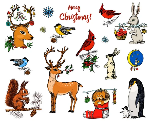 Christmas horned deer, squirrel and animals. New Year penguin and bird cardinal or tit in the forest. winter holidays. engraved hand drawn in old sketch and vintage style for postcards. — Wektor stockowy