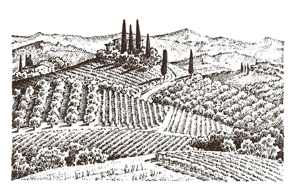 Vinha rústica. paisagem rural com casas. fundo da Toscana solar. campos e ciprestes. Colheita e palheiro. mão gravada desenhada em esboço antigo e estilo vintage para etiqueta . — Vetor de Stock