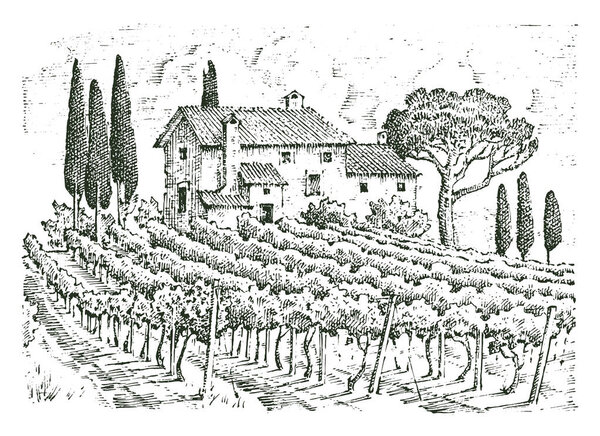 деревенский виноградник. сельский пейзаж с домами. Фон солнечной тосканы. поля и кипарисы. уборка и стог сена. гравированная рука, выполненная в старинном эскизе и винтажном стиле для этикетки
.