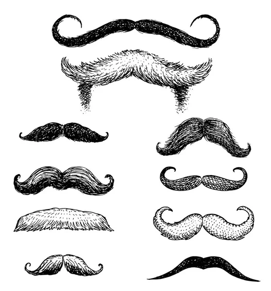 男人的胡子和滑稽的胡子, 时髦和复古的理发师或理发师在透明的背景。镌刻在旧素描, 老式风格的包装和标志画的手. — 图库矢量图片