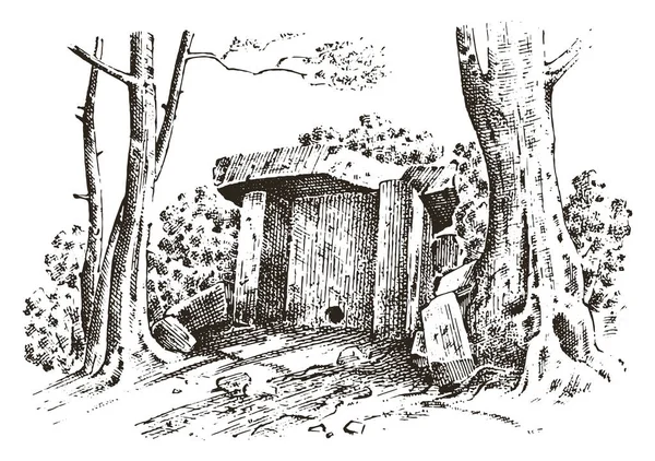 eski mağara. bir adam kalıntıları olan tarih öncesi ev ahşap veya taş rock. Orman manzara. bozulmamış medeniyetler yaşam alanı. yakın çekim. oyulmuş elle çizilmiş eski kroki, vintage tarzı.