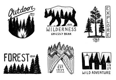 iğne yapraklı orman, dağlar ve ahşap logosu. kamp ve vahşi doğa. çam ağaçları ve tepeler ile manzaralar. boz ayı, amblem veya rozeti, çadır turist, seyahat için vintage etiket. oyulmuş elle çizilmiş.