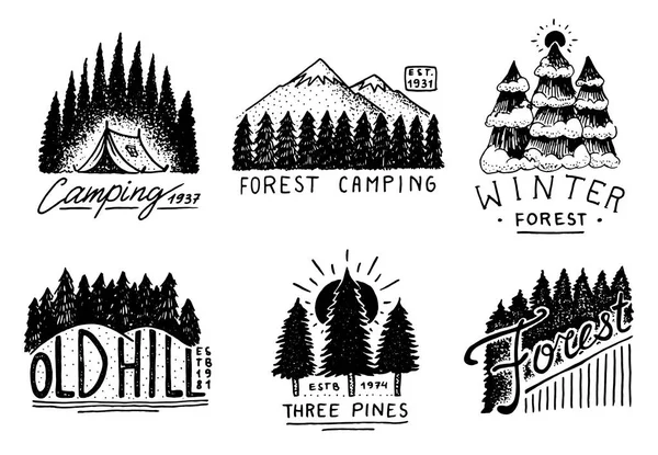 Forêt de conifères, montagnes et logo en bois. camping et nature sauvage. paysages avec pins et collines. emblème ou insigne, tente touristique, voyage pour les étiquettes. gravé à la main dans un vieux croquis vintage — Image vectorielle