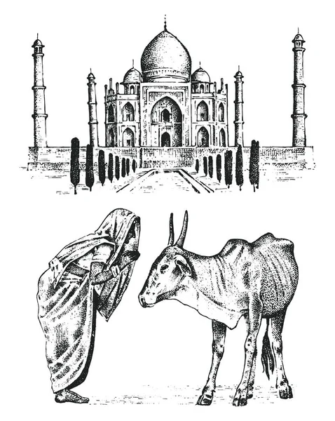 Taj Mahal um antigo palácio na Índia. monge com vaca. animal tradicional. marco ou arquitetura. Mesquita-mausoléu tradicional. mão gravada desenhada em esboço velho, estilo vintage . —  Vetores de Stock