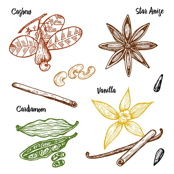 Vetores de Planta Mítica Da Mandrake No Estilo Do Vintage Flor Mágica Da  Fantasia E Ingredientes Para A Feitiçaria Desenhado À Mão Esboço Retro  Velho Ilustração Do Vetor e mais imagens de