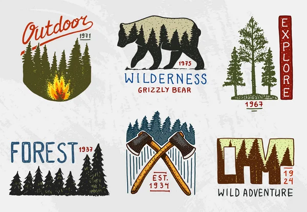 Barrskog, berg och trä logotyp. Camping och vilda natur. landskap med pinjeträd och berg. emblemet eller badge, tält turist, brunbjörn, resa för vintage etiketter. graverade hand dras. — Stock vektor