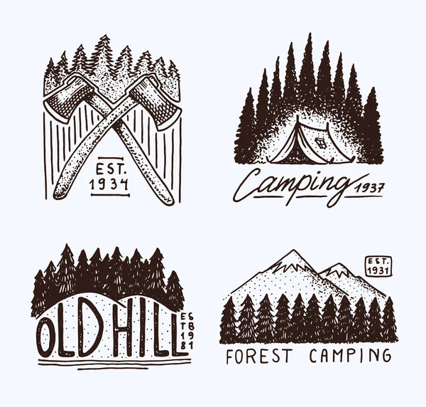 Coniferous forest, mountains and wooden logo. camping and wild nature. landscapes with pine trees and hills. emblem or badge, tent tourist, travel for labels. engraved hand drawn in old vintage sketch — Stock Vector