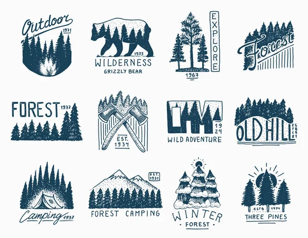 Barrskog, berg och trä logotyp. Camping och vilda natur. landskap med pinjeträd och berg. emblemet eller badge, tält turist, resor för etiketter. graverade handritad i gamla vintage skiss — Stock vektor