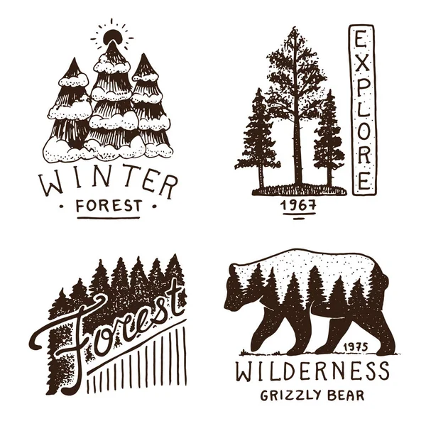 Τα κωνοφόρα δάση, βουνά και ξύλινο λογότυπο. κάμπινγκ και άγρια φύση. τοπία με πεύκα και λόφους. έμβλημα ή σήμα, τέντα τουριστικές, ταξίδια για τις ετικέτες. χαραγμένο χέρι σε παλιά vintage σκίτσο — Διανυσματικό Αρχείο