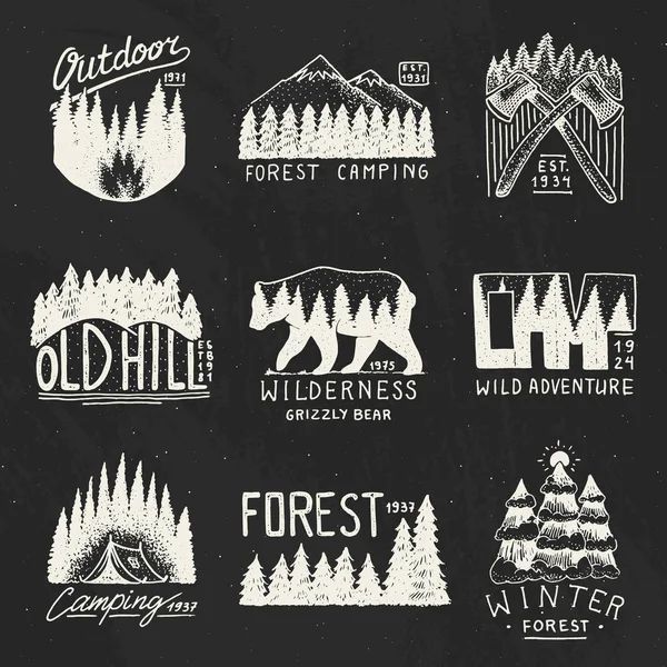 Camping emblem, bergen barrskog och trä logotyp. vild natur. landskap med pinjeträd och berg. emblemet tält turist, resor för etiketter. graverade handritad i gamla vintage skiss — Stock vektor