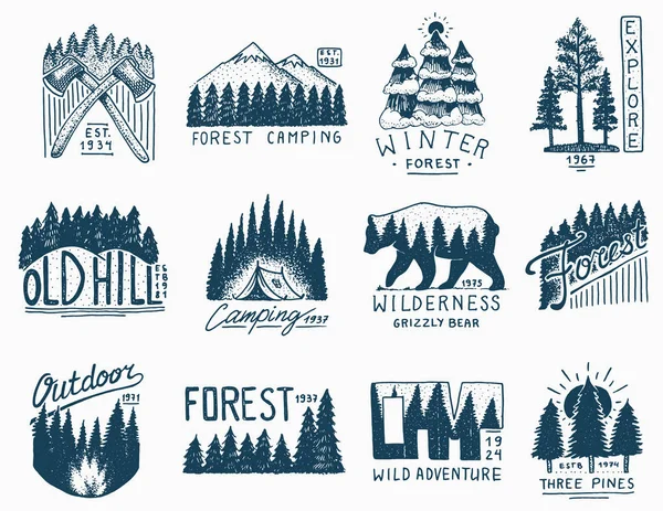 Badges de camping, forêt de conifères de montagne et logo en bois. nature sauvage. paysages avec pins et collines. tente emblème touristique, Voyage pour les étiquettes. gravé à la main dans un vieux croquis vintage — Image vectorielle