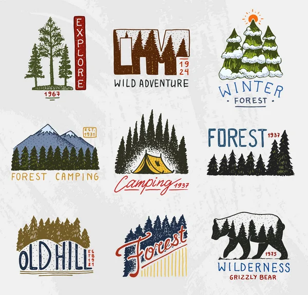 Lägrets logotyp, bergen barrskog och trä emblem. graverade handritad i gamla vintage skiss. emblemet tält turist, resor för etiketter. utomhus äventyr landskap med pinjeträd och berg. — Stock vektor