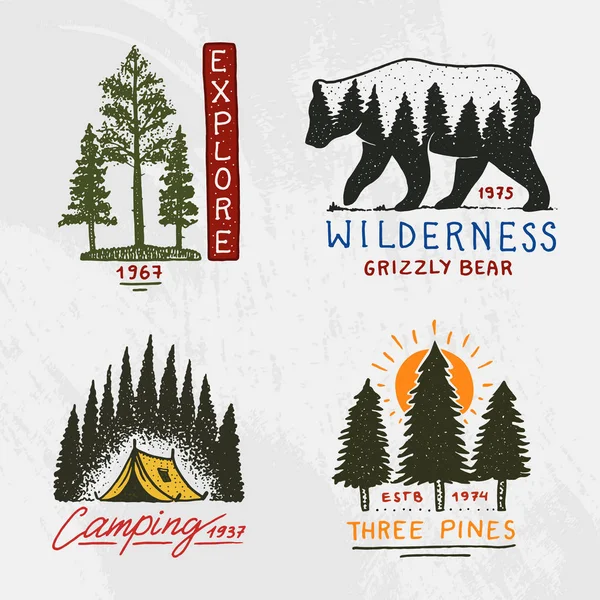 Barrskog, berg och trä logotyp. Camping och vilda natur. landskap med pinjeträd och berg. emblemet eller badge, tält turist, resor för etiketter. graverade handritad i gamla vintage skiss — Stock vektor