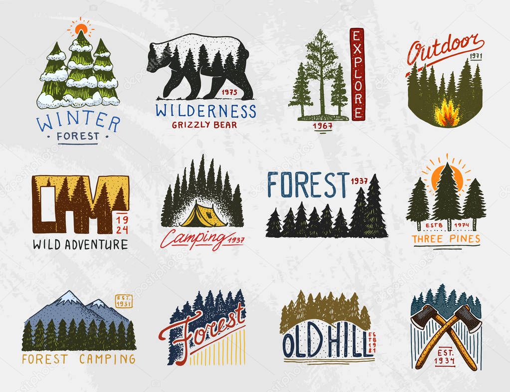 camp logo, mountains coniferous forest and wooden badges. engraved hand drawn in old vintage sketch. emblem tent tourist, travel for labels. outdoor adventure landscapes with pine trees and hills.