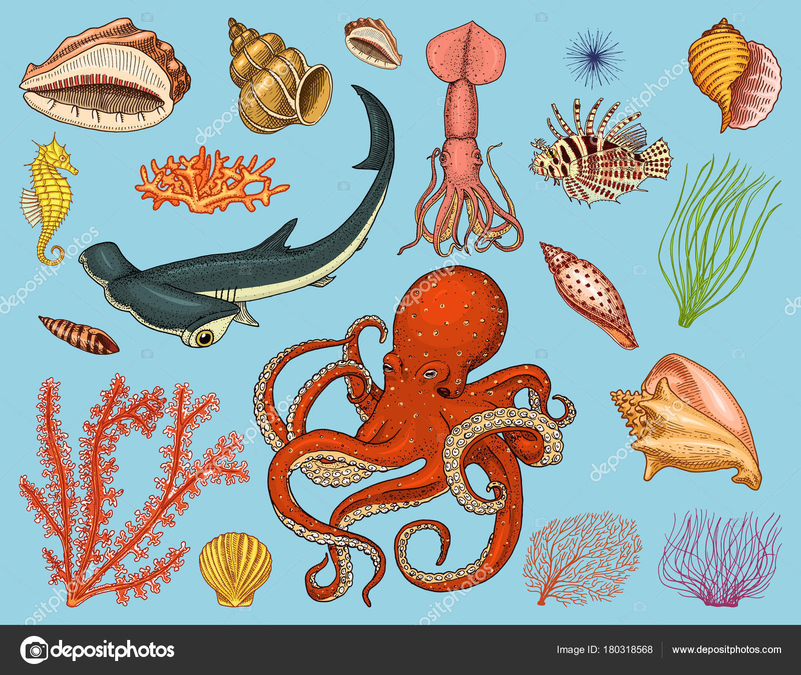 Nautical Squid Octopus Sea Creature Prehistoric Ancient Time Machine Barnacles Fossils Plants Cephalopods Squids Cuttlefish Print Roostery Pillow Sham 100% Cotton Sateen 26in x 26in Knife-Edge Sham Nautical Squid Octopus Sea Creature Prehistoric Ancient Time Machine Barnacles Fossils Plants Cephalopods Squids Cuttlefish Print Roostery Pillow Sham 100% Cotton Sateen 26in x 26in Knife-Edge Sham