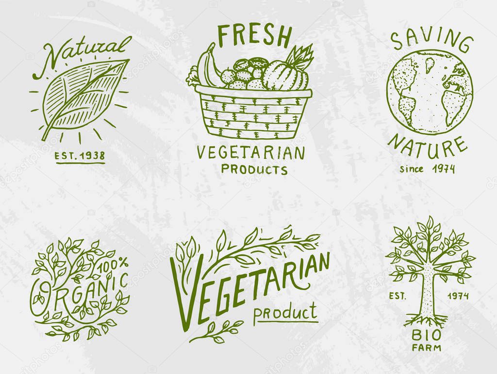 Healthy Organic food logos set or labels and elements for Vegetarian and Farm green natural vegetables products, vector illustration. badges healthy life. engraved hand drawn in old sketch
