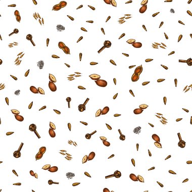 Otlar, baharat ve baharat, seamless modeli. menü için tohumlar. Organik bitki veya vejetaryen sebze. oyulmuş elle çizilmiş eski kroki, vintage tarzı.