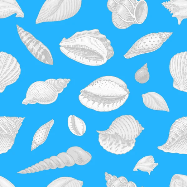 Conchas patrón sin costura o moluscos diferentes formas. criatura marina. mano grabada dibujada en boceto viejo, estilo vintage. náutico o marino, monstruo o alimento. animales en el océano . — Vector de stock