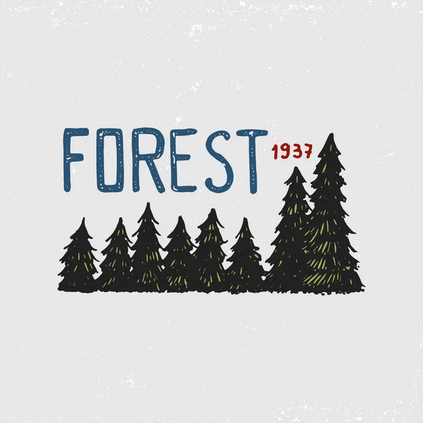 Floresta de coníferas, montanhas e logotipo de madeira. camping e natureza selvagem. paisagens com pinheiros e colinas. emblema ou crachá, turista tenda, urso pardo, viajar para rótulos vintage. gravado mão desenhada . — Vetor de Stock