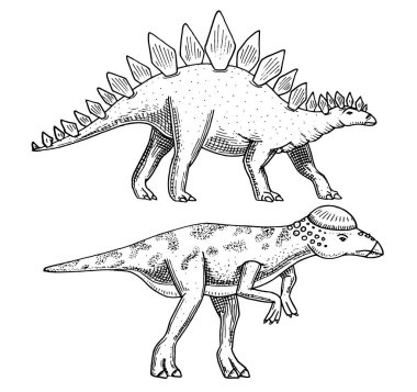 Dinozor Stegosaurus, Pachycephalosaurus, Lexovisaurus, iskelet, fosiller. Prehistorik sürüngenler, hayvan el çizilmiş vektör kazınmış..