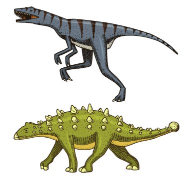 Dinozor Ankylosaurus, Talarurus, Velociraptor, Euplocephalus, Saltasaurus, iskelet, fosiller. Prehistorik sürüngenler, hayvan el çizilmiş vektör kazınmış..