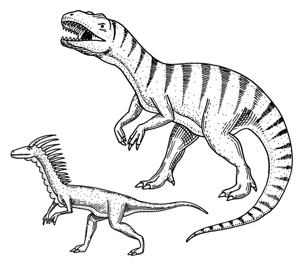 Velociraptor, ceratozaur, umieściły afrowenatora, Megalozaur, dinozaurów Tyrannosaurus rex, tarbozaura, Struthiomimus szkielety, skamieniałości. Prehistoryczne gady, zwierzę grawerowane ręcznie rysowane wektor — Wektor stockowy